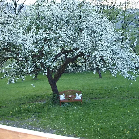 Hébergement de vacances Haus Der